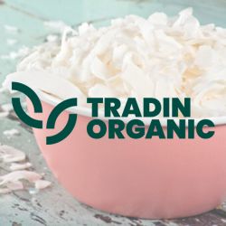 Organic Coconut Chips Raw product image