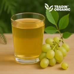 Organic White Grape Juice Concentrate product image