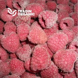 Organic Raspberries IQF product image