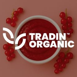 Frozen Red Currant Puree Seedless, Single Strength, Pasteurized, Netherlands (Organic/100% Content) product image