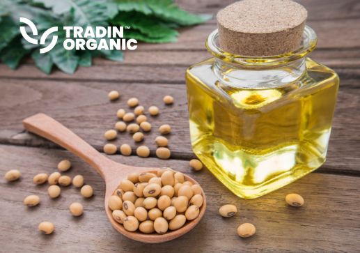 RBD Organic Soybean Oil product image