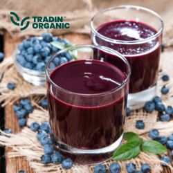 Organic Blueberry Juice Concentrate 65 Brix product image