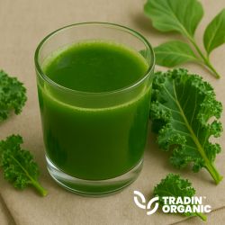 Organic Kale NFC Juice Unpasteurized product image