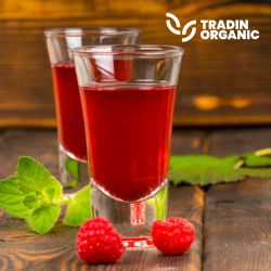 Organic Raspberry Juice concentrate product image