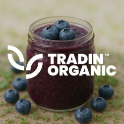Organic Blueberry Puree product image