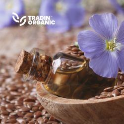 Organic Cold Pressed Flax Seed Oil product image