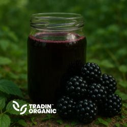 Organic Blackberry Juice Concentrate 65 Brix product image