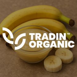 Organic Banana Puree Seedless Non Acidified product image