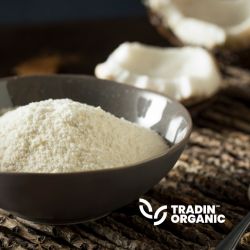 Organic Coconut Flour product image