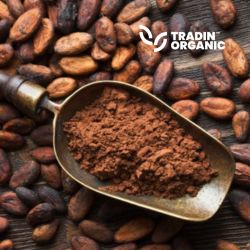 Organic Cocoa Powder 10/12 Natural product image