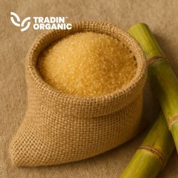 Organic Fairtrade ROC Cane Sugar product image