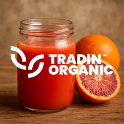 Organic Blood Orange Juice Concentrate, 50 BX product image