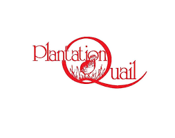 Quail International Inc logo