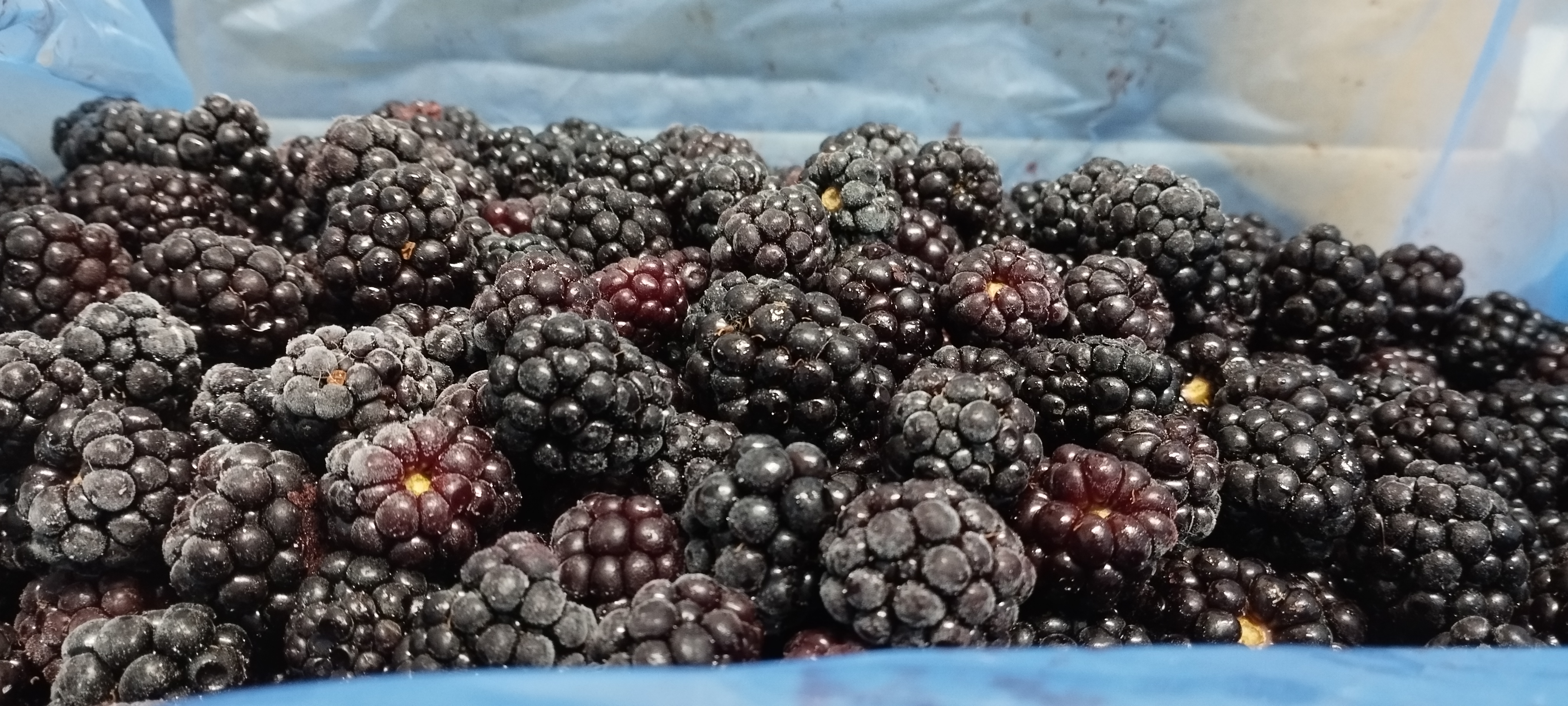 Frozen blackberries product image