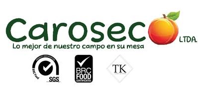Carosec logo
