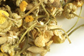 Chamomile, whole Organic product image