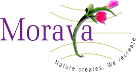 Moraya Global Ltd. logo