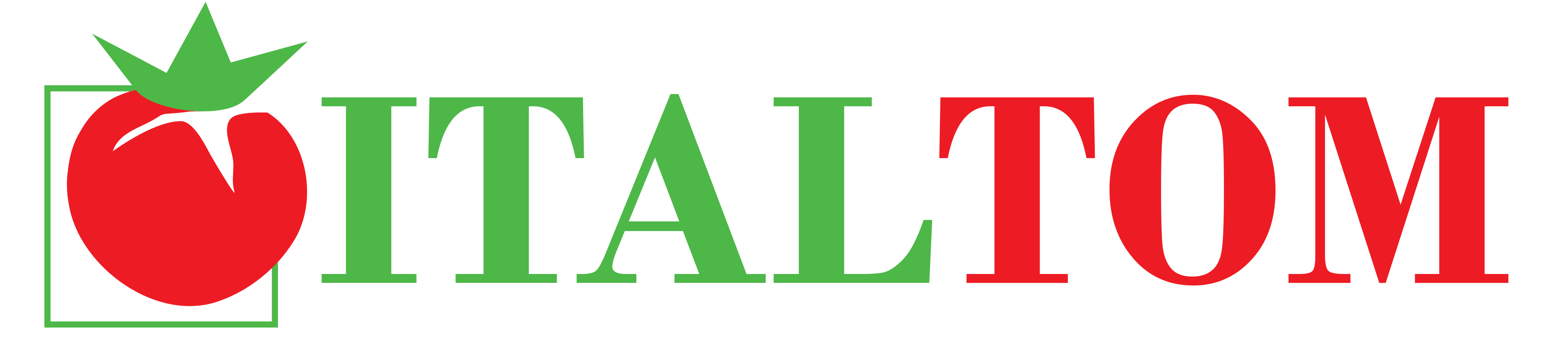 ITALTOM S.R.L. logo