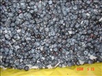 Organic Blueberries - 30 LB product image