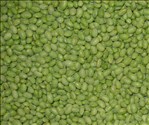 Organic Shelled Edamame (Mukimame) - 20 LB product image