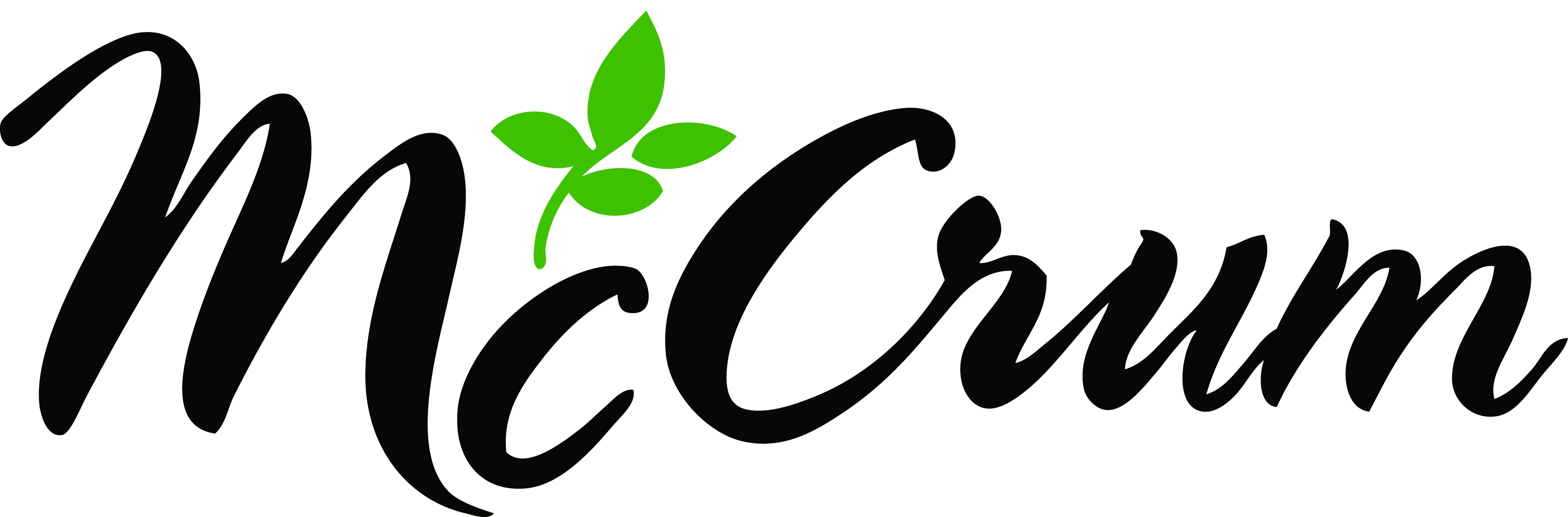 Penobscot McCrum logo