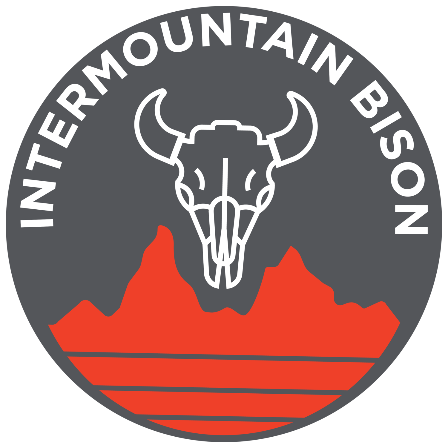 Bison 100 VL product image