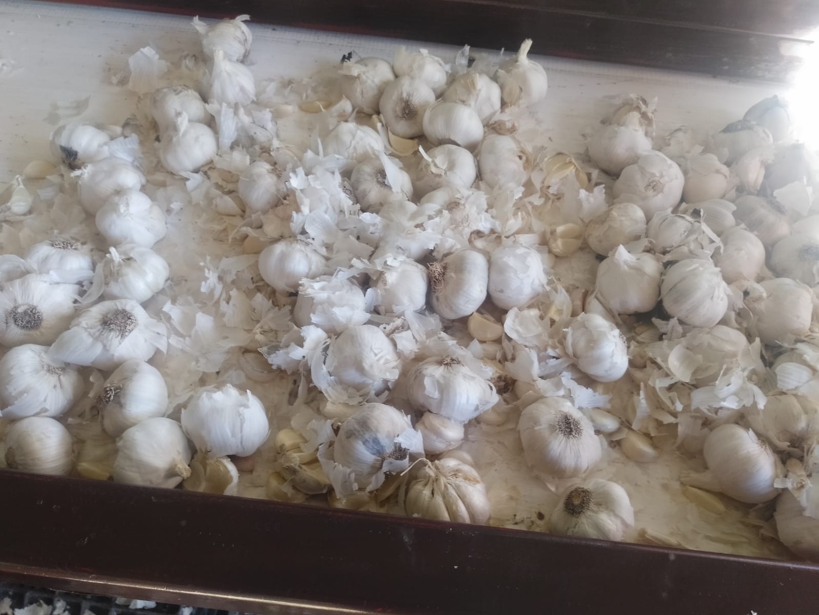 CAT2 CONVENTIONAL GARLIC product image