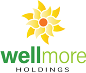 Wellmore Holdings logo