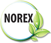 Norex Flavours Private Limited logo