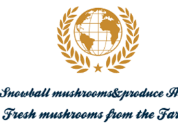 Snowball Mushrooms & Produce Inc logo