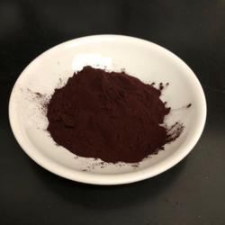 ElderCraft® 14% Organic - Standardized Elderberry Powder 14% Organic product image