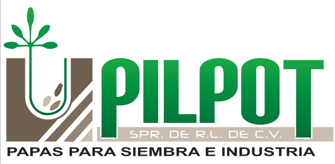 PILPOT SPR DE RL DE CV logo