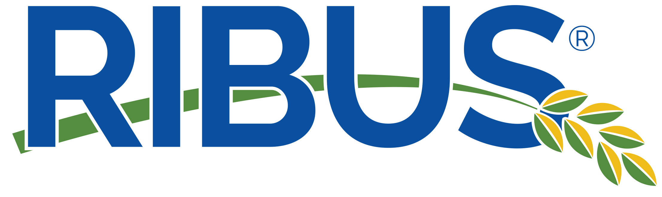 RIBUS, Inc. logo