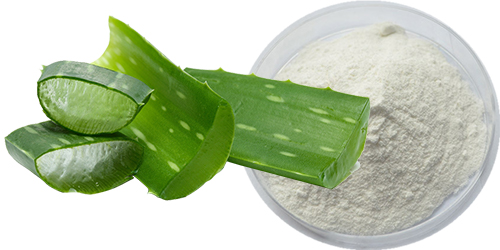 Aloe Vera Powder 200x (Inner Leaf) product image