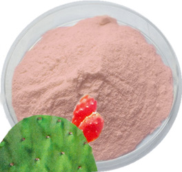 Nopal Activ Pure Extract Powder product image