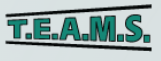 TEAMS Transport logo