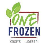 One Frozen LLC logo