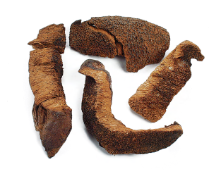 BOLETES, CHILEAN, FIRST QUALITY product image