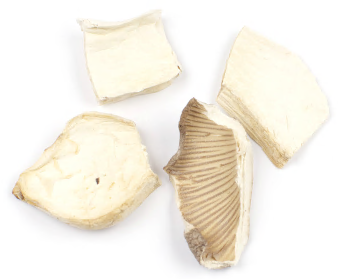 KING OYSTER MUSHROOMS product image