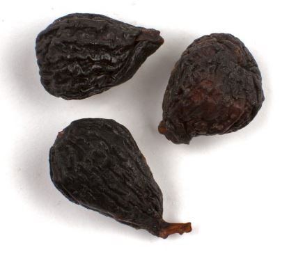 FIGS, BLACK MISSION product image