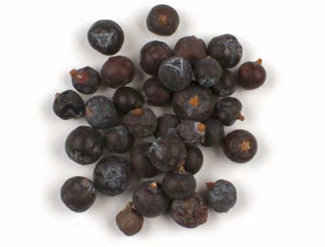 JUNIPER BERRIES, WHOLE-Steam product image