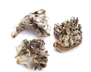 HEN OF THE WOODS (MAITAKE), ORGANIC product image