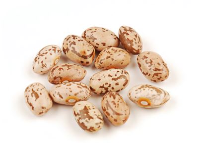 PINTO BEANS, ORGANIC product image