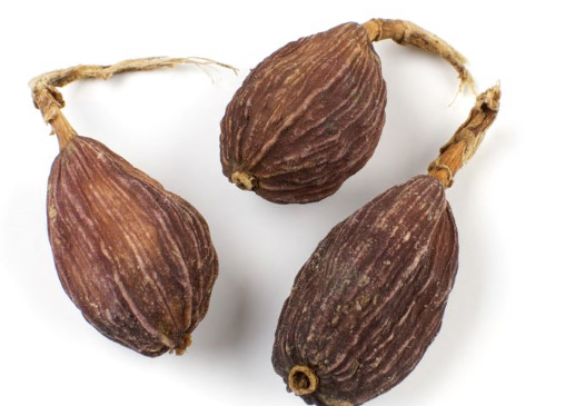 CARDAMOM, RED (CAO GUO) product image