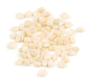 LENTILS, IVORY WHITE product image