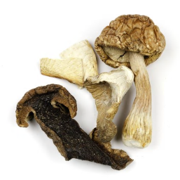 PORCINI  B  ( CEPES ) IRRADIATED product image