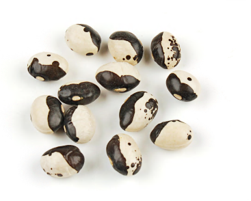 CALYPSO BEANS, BLACK product image