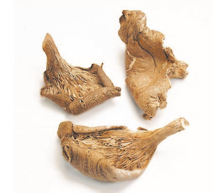 OYSTER  MUSHROOMS, ORGANIC product image