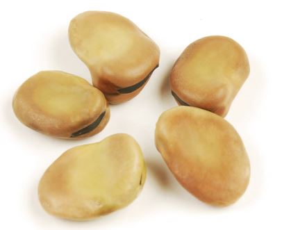 FAVA BEANS, ORGANIC product image