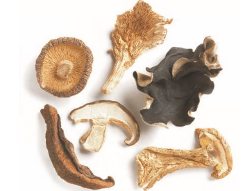 MUSHROOM BLEND, FOREST product image